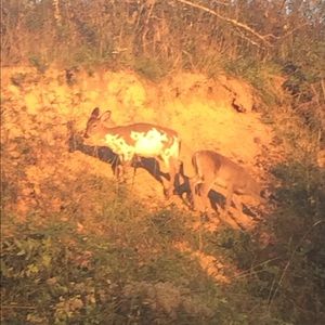 Meet your Posher, Nathan